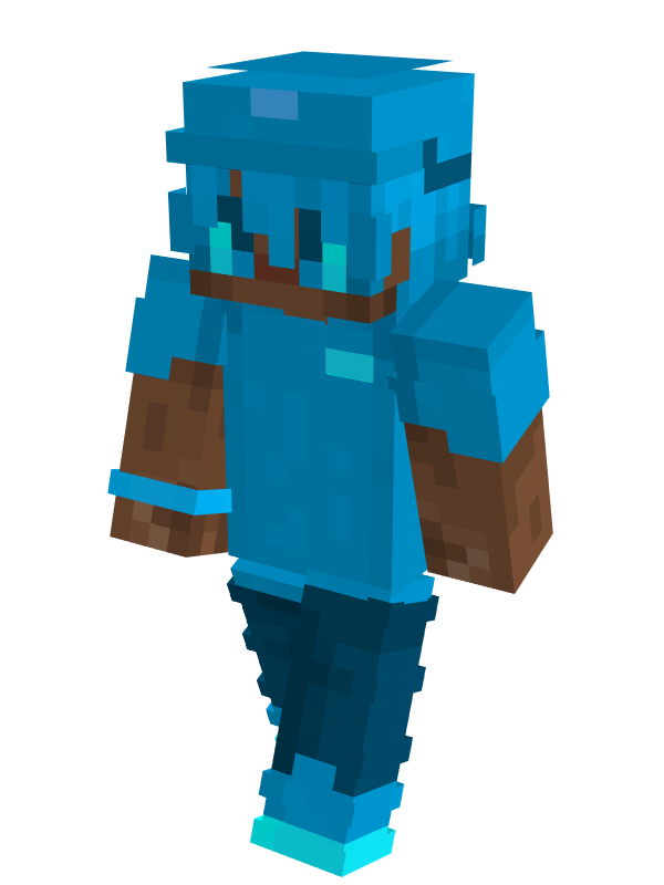Player skin